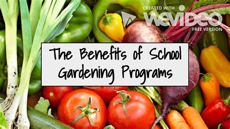 Gardening can boost endorphin levels. The Benefits of a School Gardening Program - YouTube