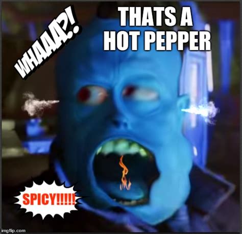 They Said It Wasnt That Spicy Imgflip