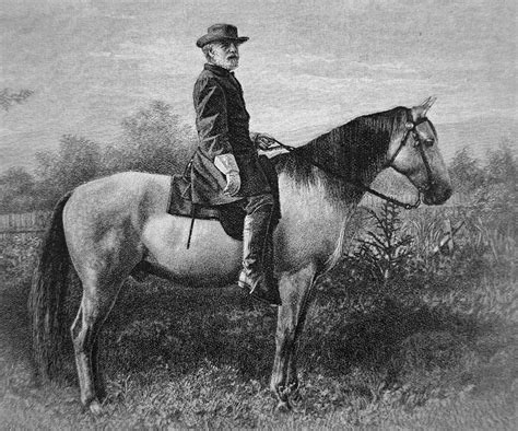 Robert E Lee On His Horse Traveler Drawing By American School