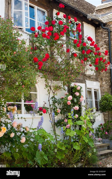 Old English Cottage With Climbing Roses High Resolution Stock