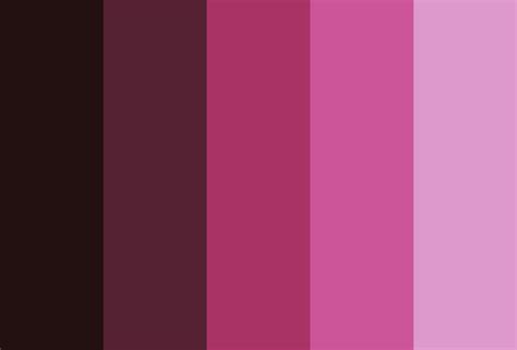 Pink Color Palettes Colordesigner
