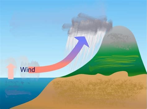 The Water Cycle And The Three Different Types Of Rainfall And