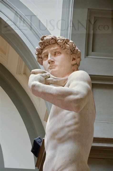 David Di Michelangelo Michelangelo Buonarrotis David Florence Tuscany
