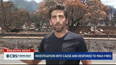 Maui wildfire death toll continues to climb as - One News Page VIDEO