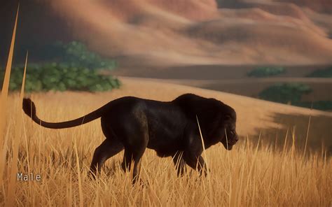 Melanistic Lion At Planet Zoo Nexus Mods And Community