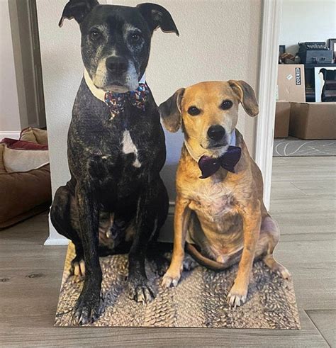 Life Size Custom Cardboard Cutout Of Two Dogs Create Fun Etsy