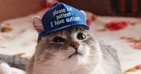 Please Be Patient I Have Autism Cat Memes