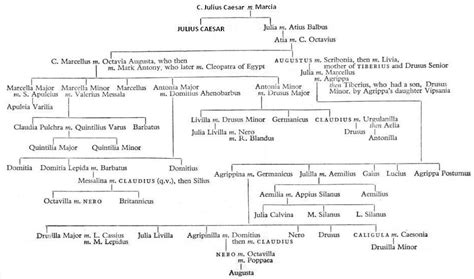 The Julian Genealogy From The Twelve Caesars By Suetonius