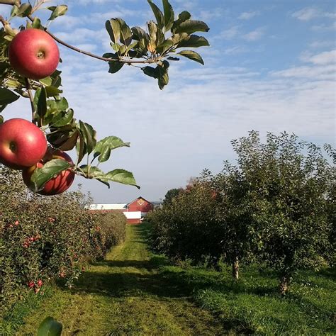 2022年 Apple Barn Orchard And Winery 行く前に！見どころをチェック トリップアドバイザー