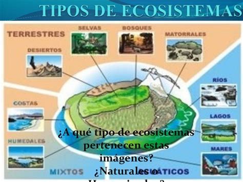 Tipos De Ecosistemas