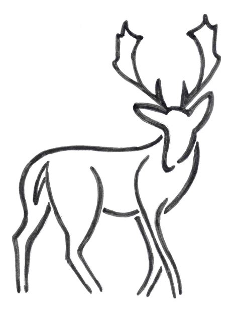Deer Drawing For Kids At Explore Collection Of