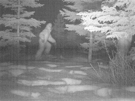 Sasquatch Sightings In Mission Shared By Bc Software
