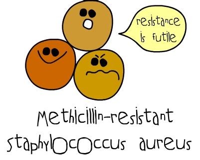 Mrsa bacteria can cause infections in your child's body. Methicillin-resistant Staphylococcus aureus — Medlibes ...