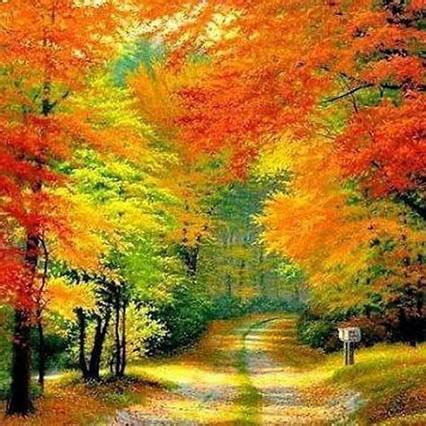 Beautiful Colors Of Nature Pics