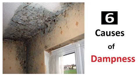 How To Get Rid Of Damp Spots On Ceiling