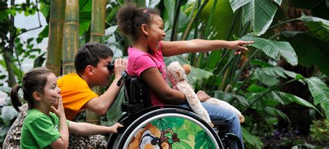 Actividades Para Niños Con Discapacidad Motriz ¡dinámicas Y Juegos