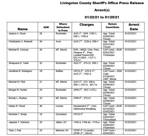 Wellsville Regional News Dot Com Livingston County Sheriffs Blotter