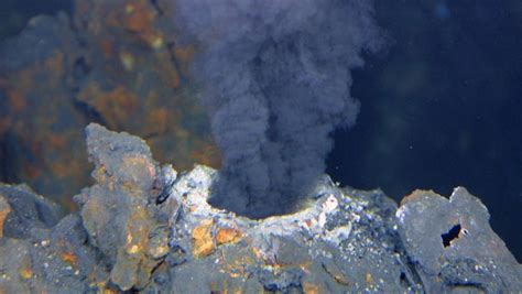 Kermadec Sanctuary Has Worlds Second Deepest Trench 30 Underwater