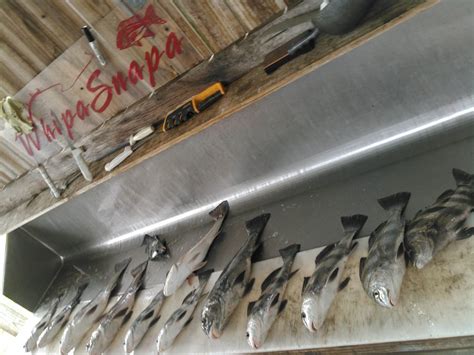 Come deep sea fishing on the sunny mississippi gulf coast aboard the amberjack. March Madness! Inshore fishing! Biloxi, Ms - WhipaSnapa ...