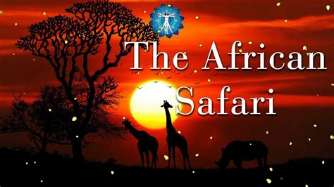 Hours Relaxation Music African Safari Background Audio