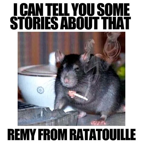 Oh Agitaţie Arhiva Mouse Rat Meme Materne Cantitatea Vânzărilor Plin De