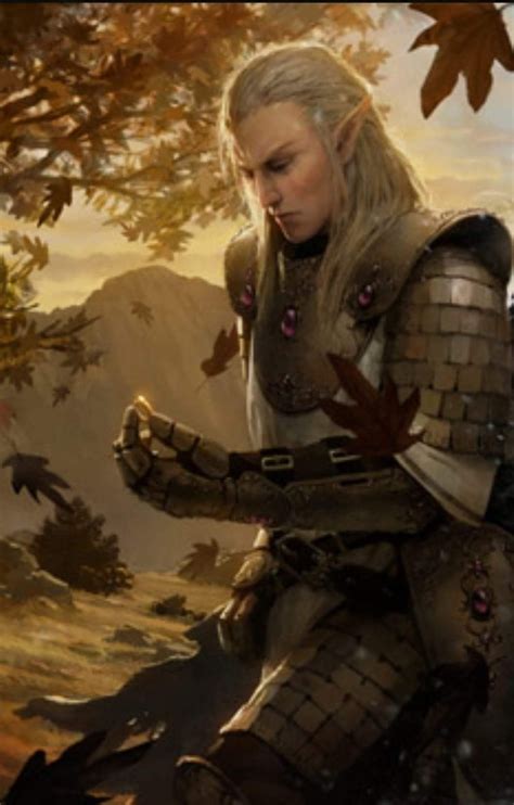 Elf Knight Elves Fantasy Heroic Fantasy Fantasy Male Fantasy Warrior