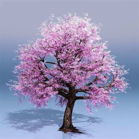 Cherry Blossom Tree 3d Model 29 Max Obj Fbx Dxf Dwg Free3d