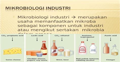 Mikrobiologi Industri [ppt Powerpoint]