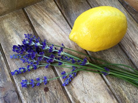 Lavender Lemonade The Daring Gourmet