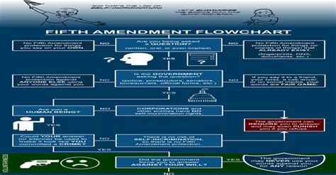 Fifth Amendment Flowchart Infographics