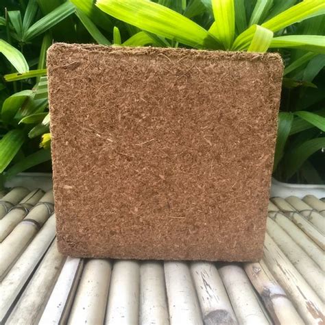Square Low Ec Coco Peat Block For Agriculture Packaging Size 5 Kg At Rs 17kg In Indore