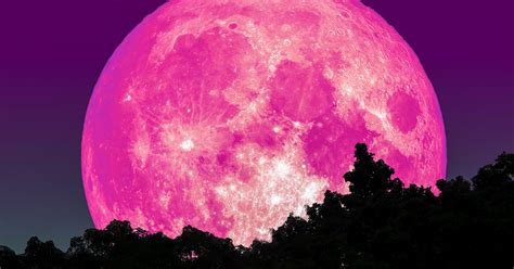 Supermoon Archives Good Living Guide