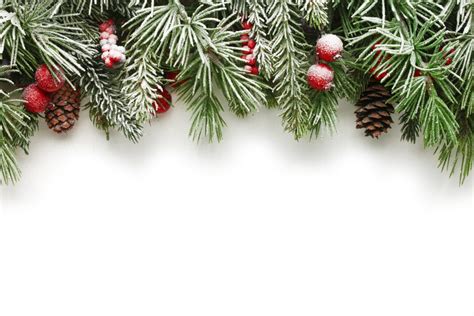 Christmas Tree Branches Background Elizabethan Catering Services Ltd