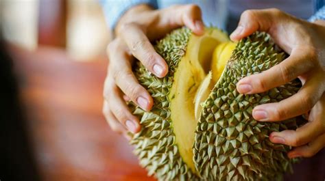 Tunjuk Id Viral Foto Jadul Bocah Bule Asyik Makan Durian Di Sumatera