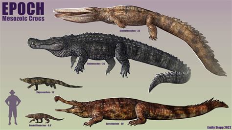 Epoch Mesozoic Crocodylomorphs By Emilystepp Rcrocodiles