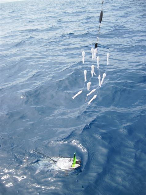 Lift it out, and shake off any excess flour. dredge rigging - The Hull Truth - Boating and Fishing Forum