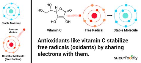 What Are Antioxidants Simple Definition Of How They Work Superfoodly
