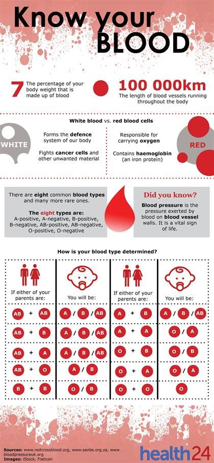 See How Much Do You Know About Blood Health24