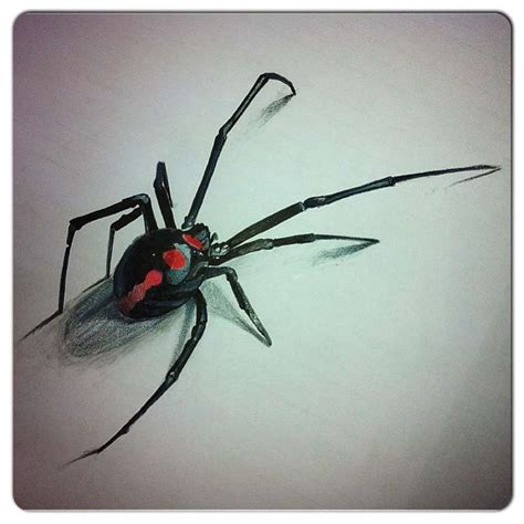 Tattoo82drawing Spider Black Widow Art