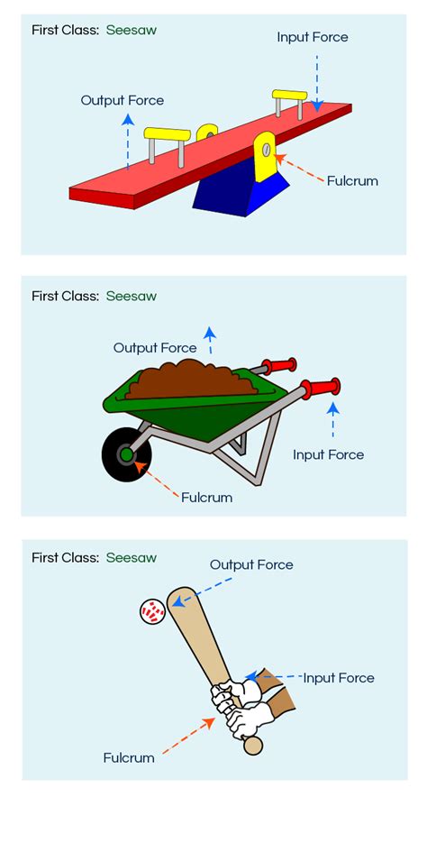 Third Class Lever Examples