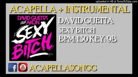 David Guetta Sexy Bitch Feat Akon Extended Acapella Official