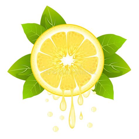 Realistic Lemon Slice With Leaves And Drops Of Juice Juicy Fruit