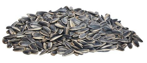 Sunflower Seeds Png Png All Png All