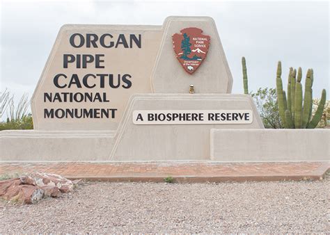 Typically speaking, organ pipe sees occasional rain storms and mellow temperatures. Organ Pipe Cactus National Monument! - The Bill Beaver Project