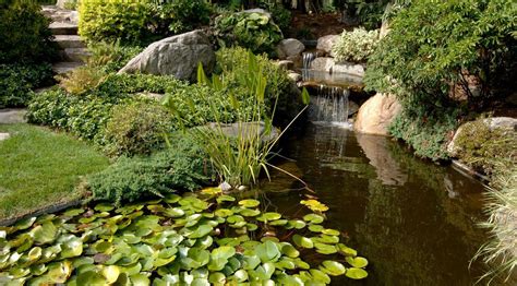 22 Pink Japanese Water Garden Ideas Worth To Check Sharonsable