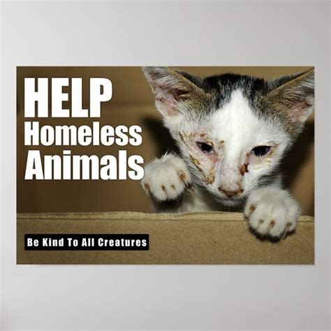 Help Homeless Animal Poster Au