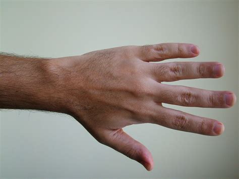 Free Images Hand Leg Finger Arm Nail Close Up Human Body Skin