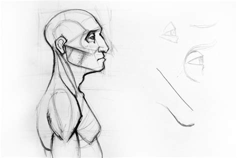 Outline Drawing Sketch Of Side Profile Of A Human By