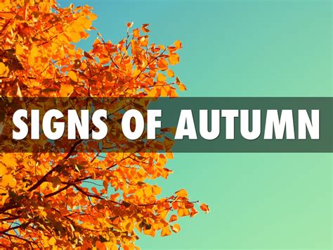 Signs Of Autumn By Ccs3op