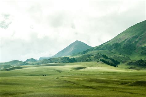 무료 이미지 경치 자연 잔디 구조 들 목초지 한 지방 언덕 골짜기 산맥 시골의 녹색 목장 평원 골프